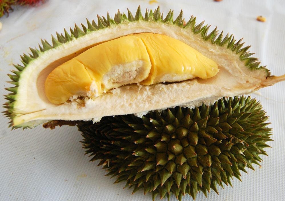 Hoe eet je durian