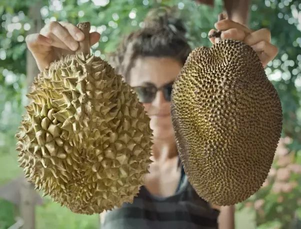 Rechts durian, links jackfruit.