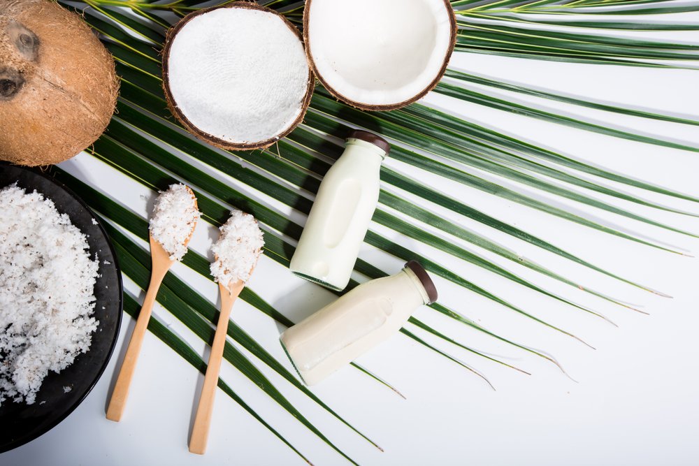 hoek Doorzichtig leeftijd Kokosmelk: drinken uit de kokosnoot