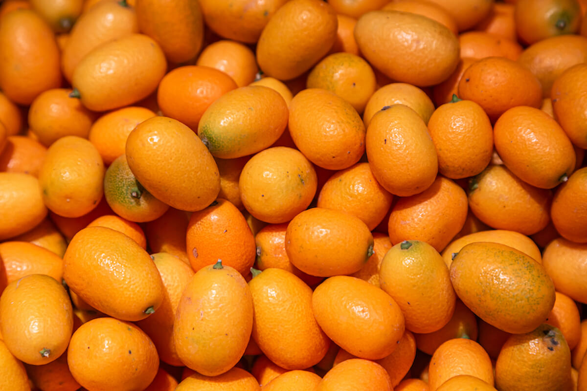 Kumquats: hoe smaken ze?