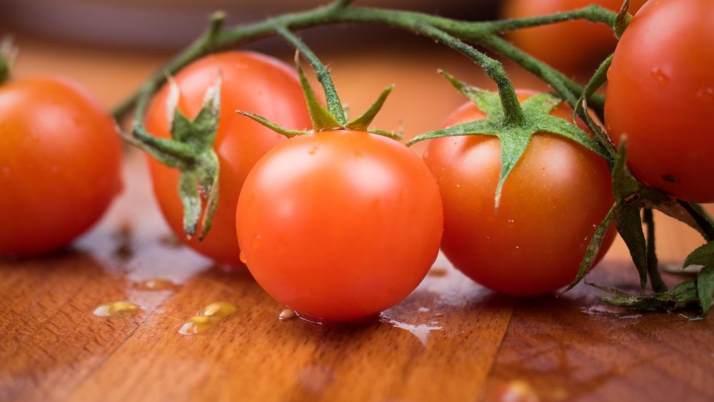 Tomaten zijn nachtschade en bevatten het gezonde stofje lycopeen.